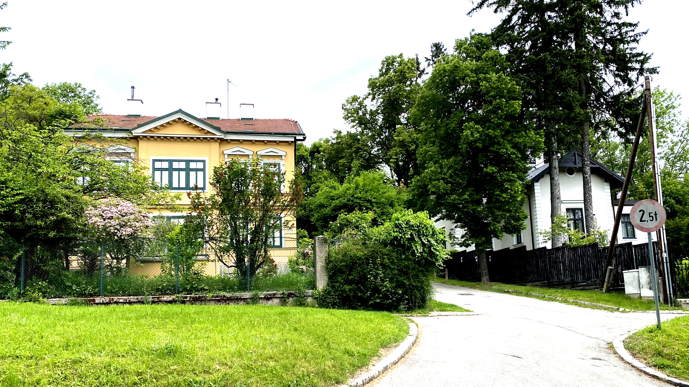 Baumbestandene Wohnstraße mit Häusern in Pötzleinsdorf